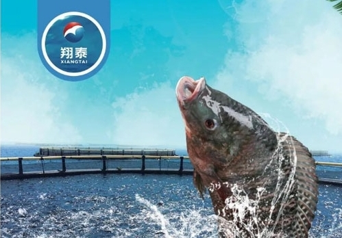 翔泰漁業(yè)深耕【海南鯛】近二十年，堅持高品質(zhì)水產(chǎn)品穩(wěn)定供應(yīng)，不斷創(chuàng)新研發(fā)產(chǎn)品以滿足不同市場需求！