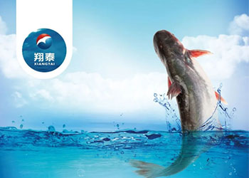 繼金鯧魚、海南鯛之后！翔泰漁業(yè)全力打造第三條精品魚【海南巴沙魚】